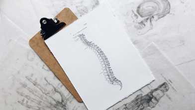 Spinal cord